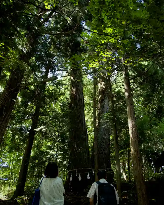 戸隠神社火之御子社(長野県)