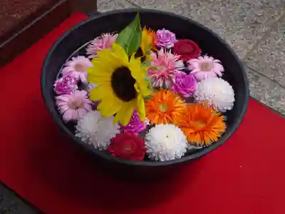 法輪寺の芸術