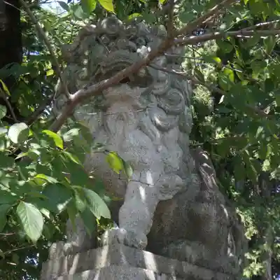針綱神社の狛犬