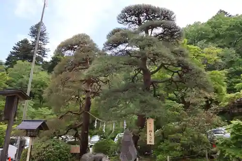 宝登山神社(埼玉県)