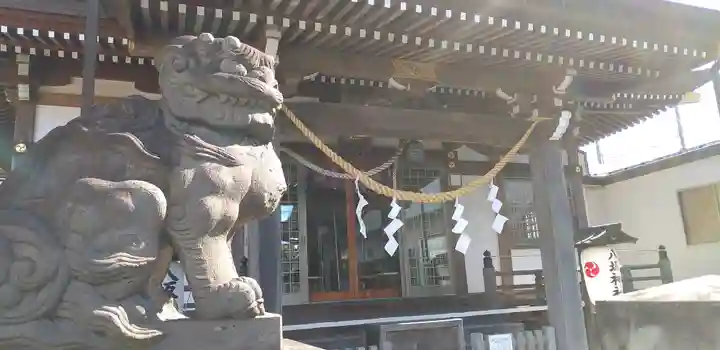 今泉八坂神社の狛犬