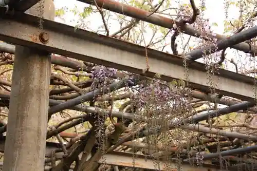 在士八幡神社の自然