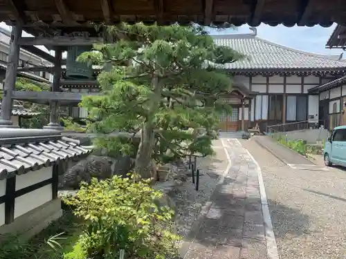 玉泉寺のその他建物