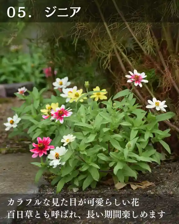 宝光寺(北海道)