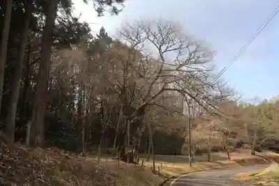 日枝神社の自然