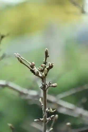 正安寺(神奈川県)