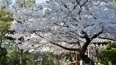 東大寺の建物その他