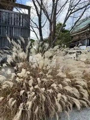 忉利天上寺(兵庫県)