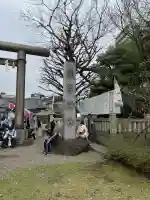浅草神社の鳥居