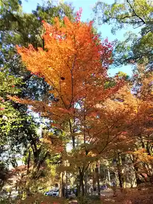 多久神社の自然
