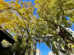 波除神社（波除稲荷神社）の鳥居