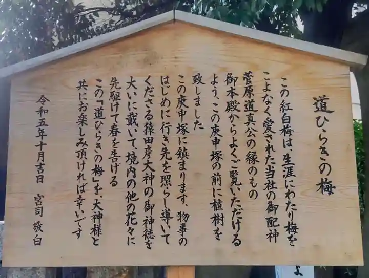 小野照崎神社(東京都)