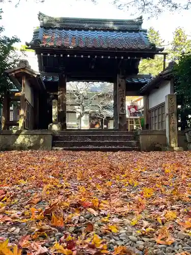 吸湖山　青岸寺の山門