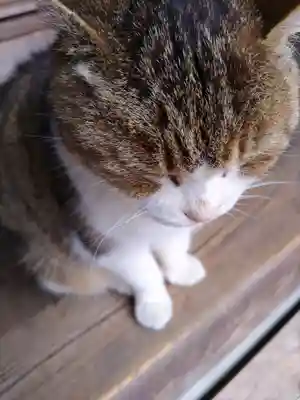 小松寺(千葉県)