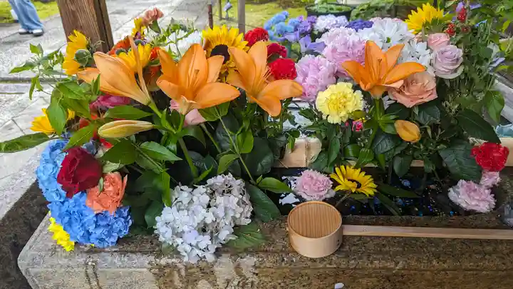 勝林寺(京都府)