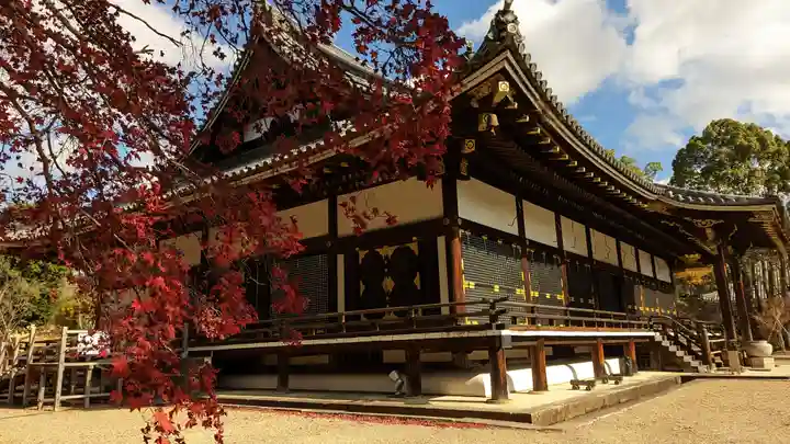 仁和寺(京都府)