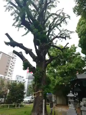金山神社の{uncategorized: "未分類", other: "その他", undefined: "問題あり", building: "その他建物", grave: "お墓", sacred_gate: "鳥居", guardian: "狛犬", statue: "像", buddha: "仏像", history: "歴史", nature: "自然", garden: "庭園", animal: "動物", pagoda: "塔", temizu: "手水舎", mountain_gate: "山門・神門", sanctuary: "本殿・本堂", subordinate: "末社・摂社", art: "芸術", scenery: "景色", jizo: "地蔵", ema: "絵馬", goshuin: "御朱印", omikuji: "おみくじ", items: "授与品その他", amulet: "お守り", goshuincho: "御朱印帳", eats: "食事", festival: "お祭り", votive_dance: "神楽", shichigosan: "七五三参", wedding: "結婚式", experience: "体験その他", initially: "初詣", around: "周辺", anti_infection: "感染症対策"}