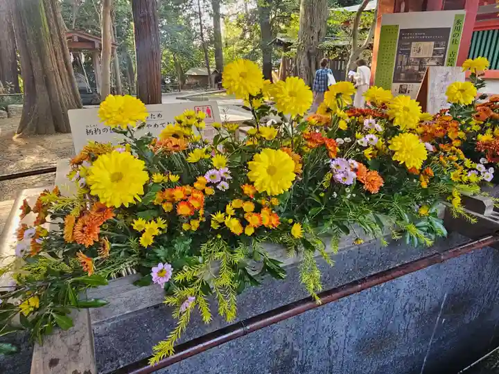 武蔵一宮氷川神社(埼玉県)