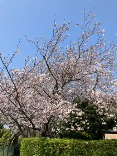 人見神社の{uncategorized: "未分類", other: "その他", undefined: "問題あり", building: "その他建物", grave: "お墓", sacred_gate: "鳥居", guardian: "狛犬", statue: "像", buddha: "仏像", history: "歴史", nature: "自然", garden: "庭園", animal: "動物", pagoda: "塔", temizu: "手水舎", mountain_gate: "山門・神門", sanctuary: "本殿・本堂", subordinate: "末社・摂社", art: "芸術", scenery: "景色", jizo: "地蔵", ema: "絵馬", goshuin: "御朱印", omikuji: "おみくじ", items: "授与品その他", amulet: "お守り", goshuincho: "御朱印帳", eats: "食事", festival: "お祭り", votive_dance: "神楽", shichigosan: "七五三参", wedding: "結婚式", experience: "体験その他", initially: "初詣", around: "周辺", anti_infection: "感染症対策"}