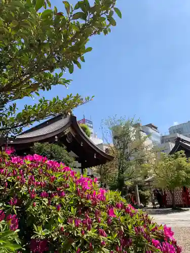 三輪神社の自然