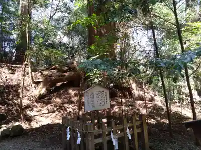 高千穂神社(宮崎県)