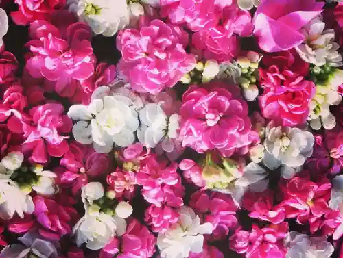 立志神社(滋賀県)