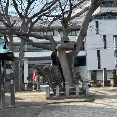 阿邪訶根神社(福島県)
