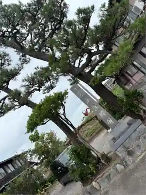 正法寺(愛知県)