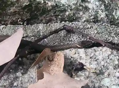 三島神社(愛媛県)