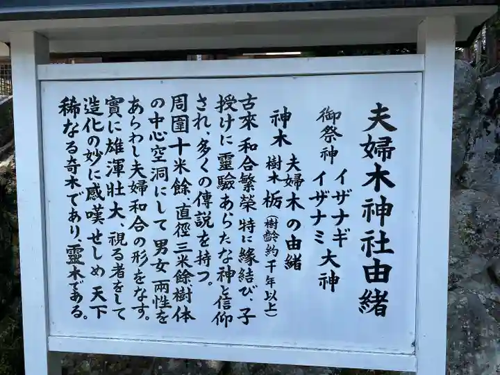 夫婦木神社(山梨県)