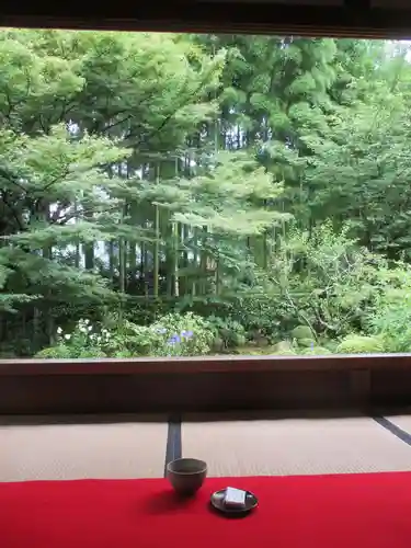 宝泉院の本殿・本堂