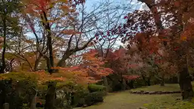 勝持寺（花の寺）(京都府)