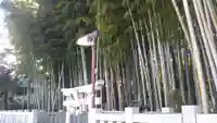 不知森神社の鳥居