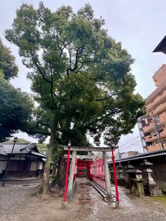 真清田神社(愛知県)