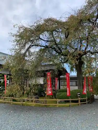 身照寺(岩手県)