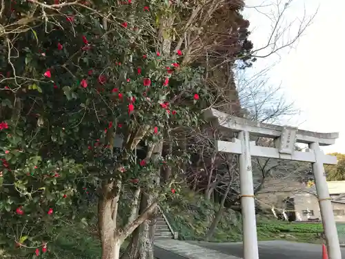 桑名神社の鳥居