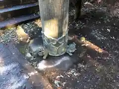 一瓶塚稲荷神社(栃木県)