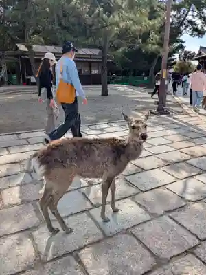 東大寺(奈良県)