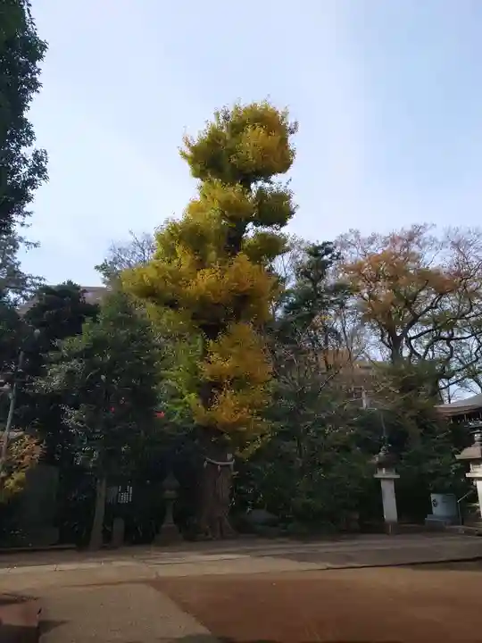 城山熊野神社(東京都)