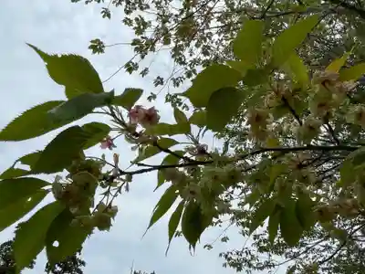 歌泉堂（春日大社神苑萬葉植物園内鎮座）(奈良県)