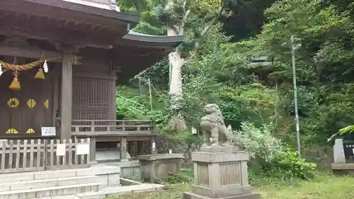 甘縄神明神社（甘縄神明宮）の狛犬