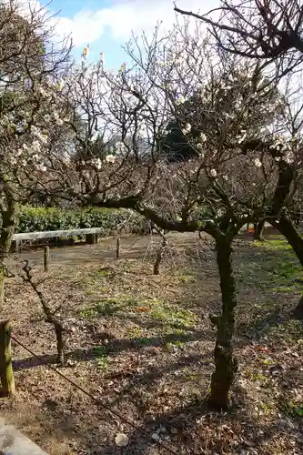 道明寺天満宮の庭園