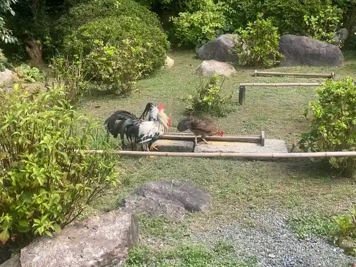 観音寺(京都府)