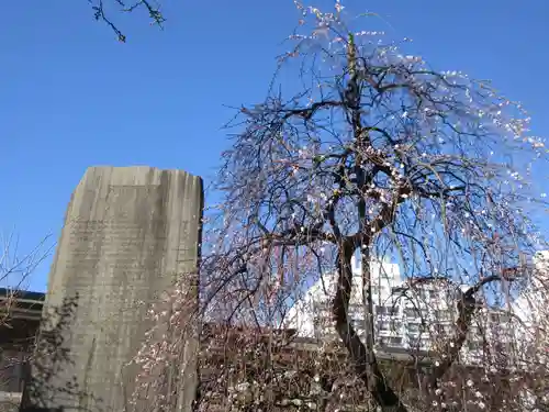 湯島天満宮(東京都)