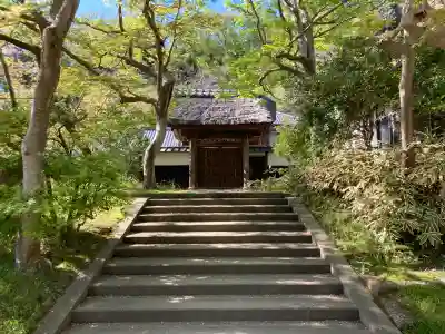 円覚寺の{uncategorized: "未分類", other: "その他", undefined: "問題あり", building: "その他建物", grave: "お墓", sacred_gate: "鳥居", guardian: "狛犬", statue: "像", buddha: "仏像", history: "歴史", nature: "自然", garden: "庭園", animal: "動物", pagoda: "塔", temizu: "手水舎", mountain_gate: "山門・神門", sanctuary: "本殿・本堂", subordinate: "末社・摂社", art: "芸術", scenery: "景色", jizo: "地蔵", ema: "絵馬", goshuin: "御朱印", omikuji: "おみくじ", items: "授与品その他", amulet: "お守り", goshuincho: "御朱印帳", eats: "食事", festival: "お祭り", votive_dance: "神楽", shichigosan: "七五三参", wedding: "結婚式", experience: "体験その他", initially: "初詣", around: "周辺", anti_infection: "感染症対策"}