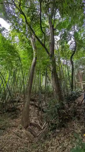 荏柄八幡社(東京都)