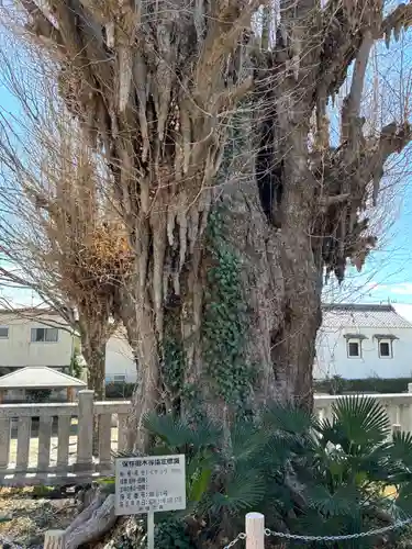 前橋八幡宮(群馬県)