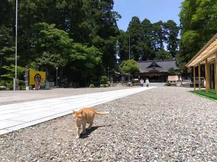 劒神社(福井県)