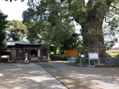 伊勢神明社の本殿・本堂