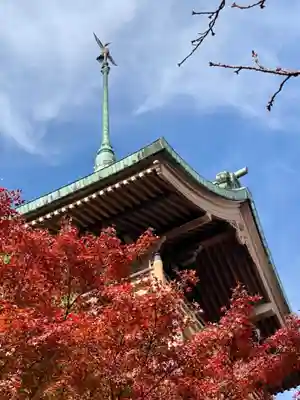 大雲院(京都府)
